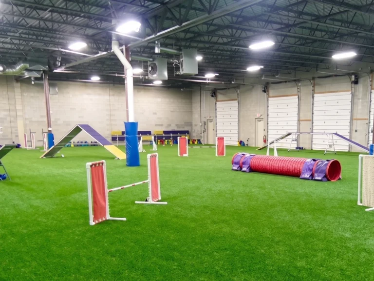TSS dog agility training center turf installation